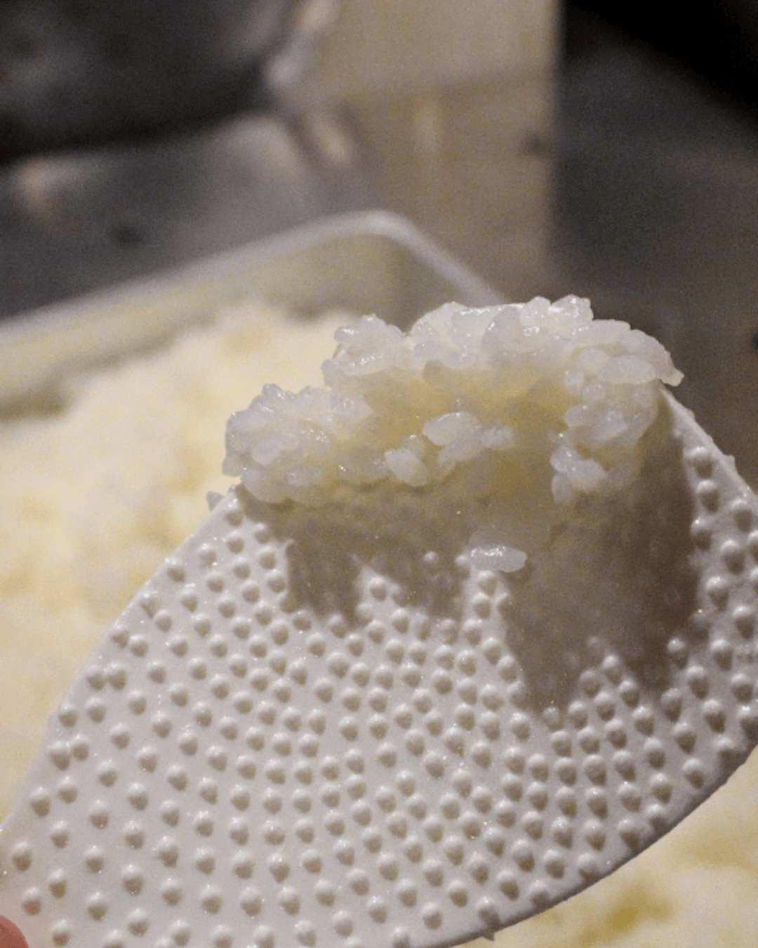 【中野】なかの中華！Sai│疲れない、食べ飽きない、周期的に食べたくなる味を